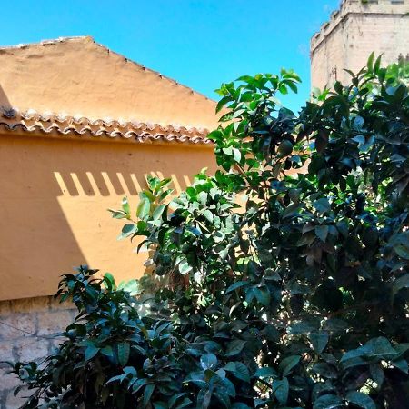Estudio Castillo Denia Ngoại thất bức ảnh