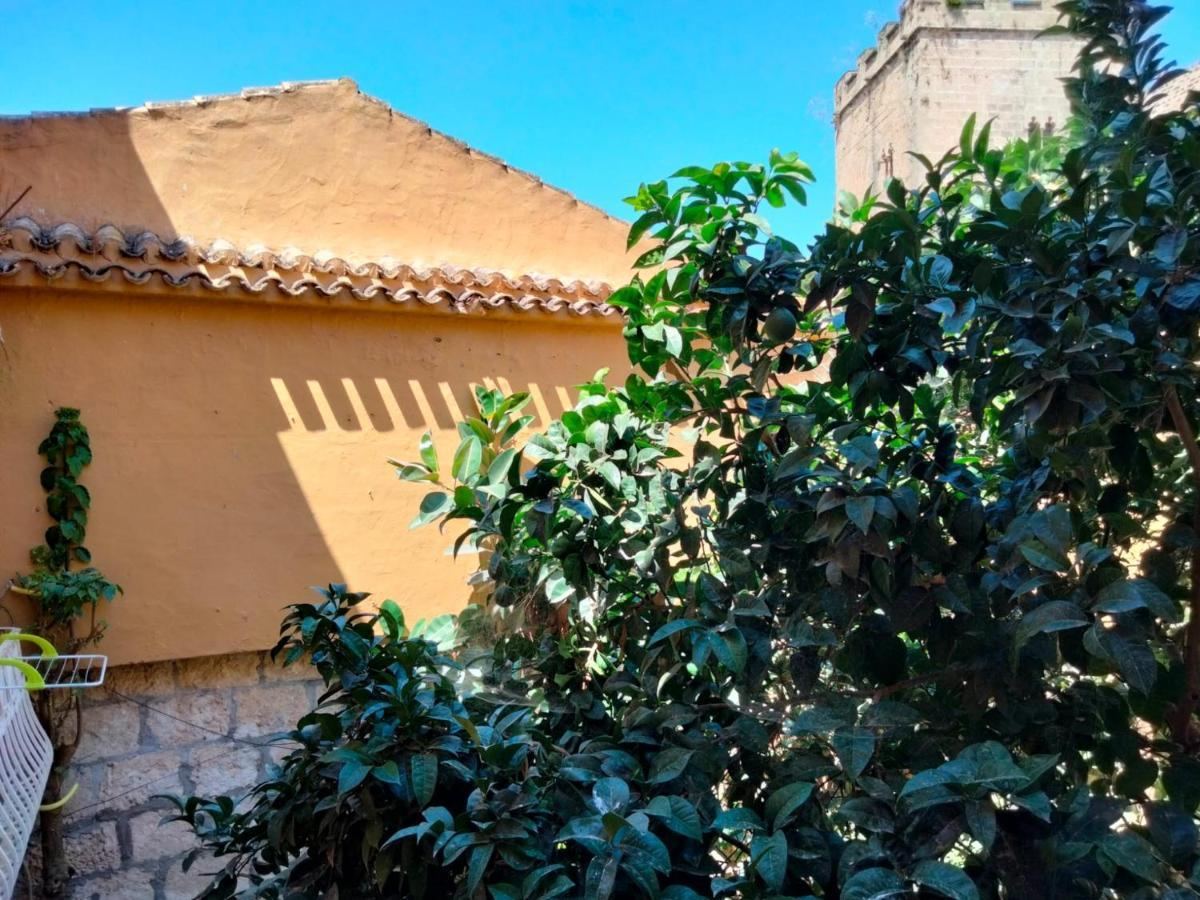 Estudio Castillo Denia Ngoại thất bức ảnh